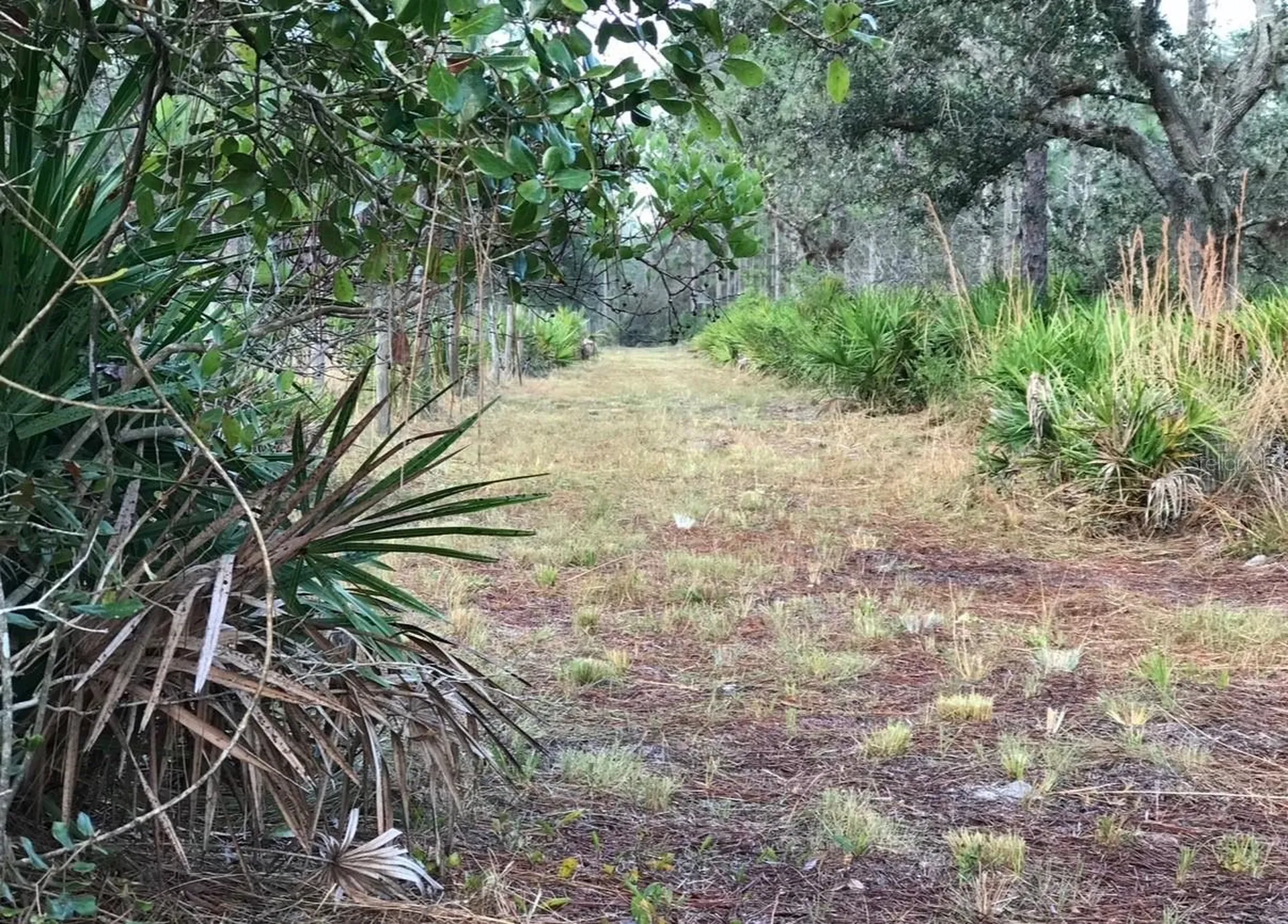 49 Fenny Bosk Trail Venus FL 33960