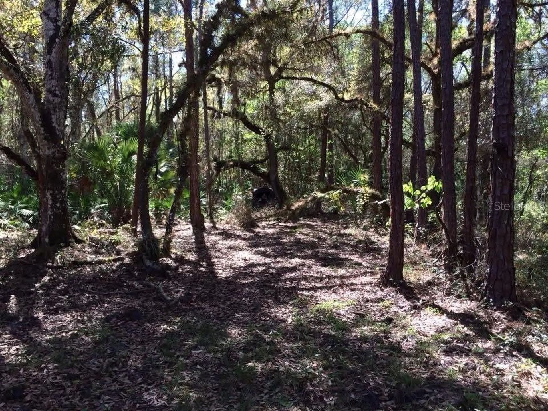 49 Fenny Bosk Trail Venus FL 33960