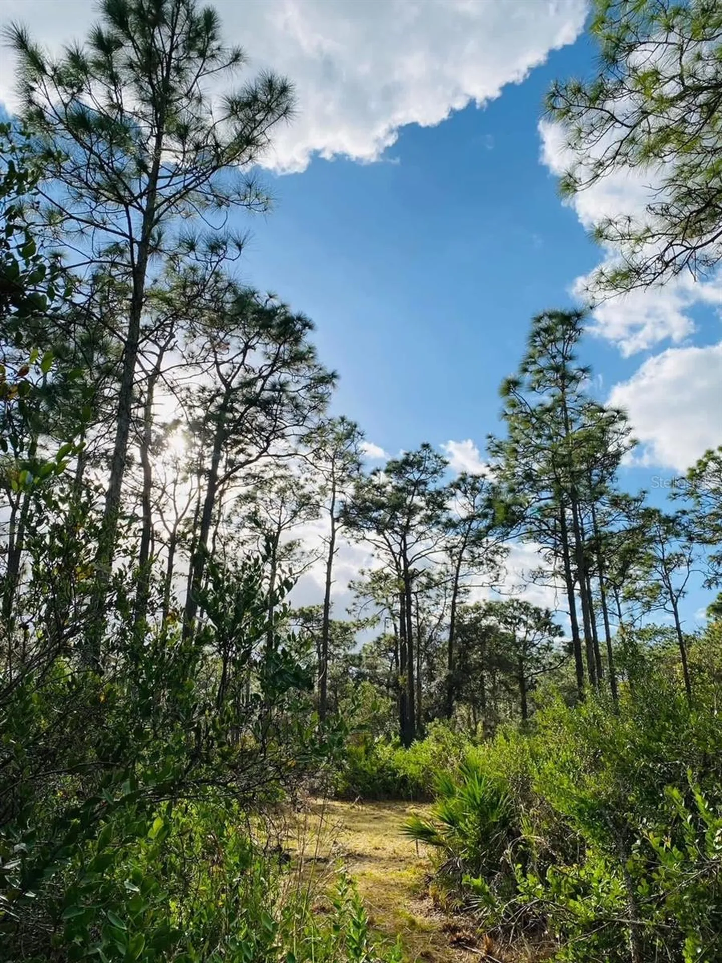 49 Fenny Bosk Trail Venus FL 33960