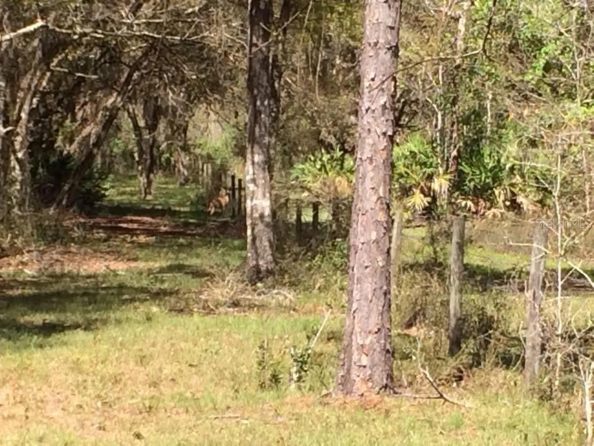49 Fenny Bosk Trail Venus FL 33960