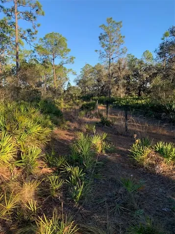 49 Fenny Bosk Trail Venus FL 33960
