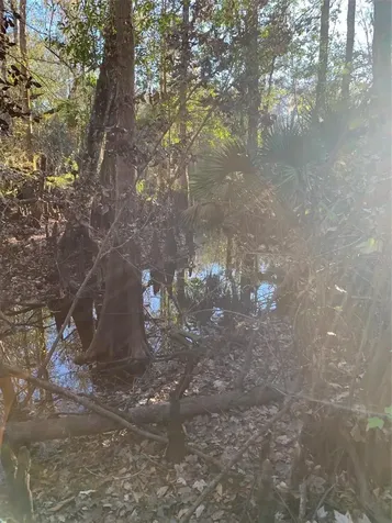 49 Fenny Bosk Trail Venus FL 33960