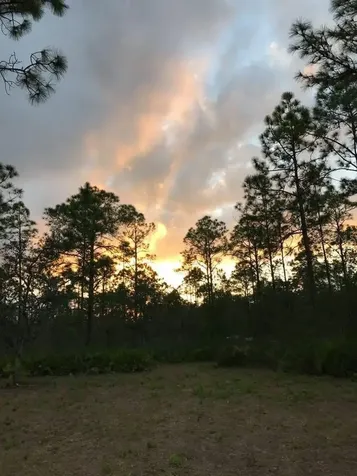 49 Fenny Bosk Trail Venus FL 33960