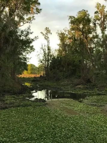 49 Fenny Bosk Trail Venus FL 33960