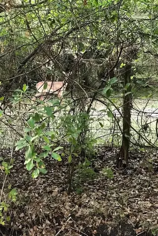 49 Fenny Bosk Trail Venus FL 33960