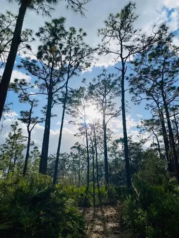 49 Fenny Bosk Trail Venus FL 33960