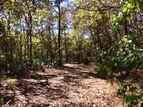 49 Fenny Bosk Trail Venus FL 33960