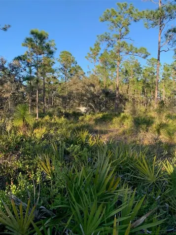 49 Fenny Bosk Trail Venus FL 33960