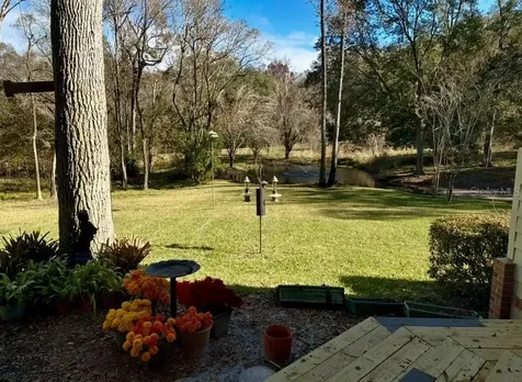 2545 Crooked Creek Point Middleburg FL 32068