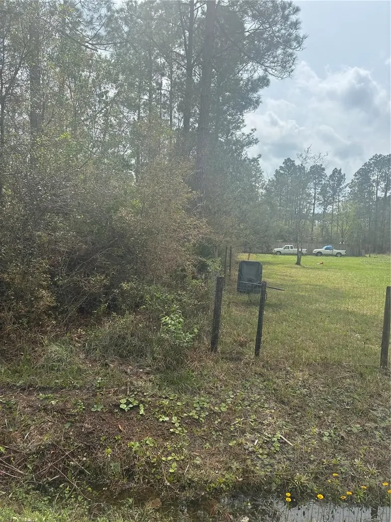 4205 Regina Street Hastings FL 32145