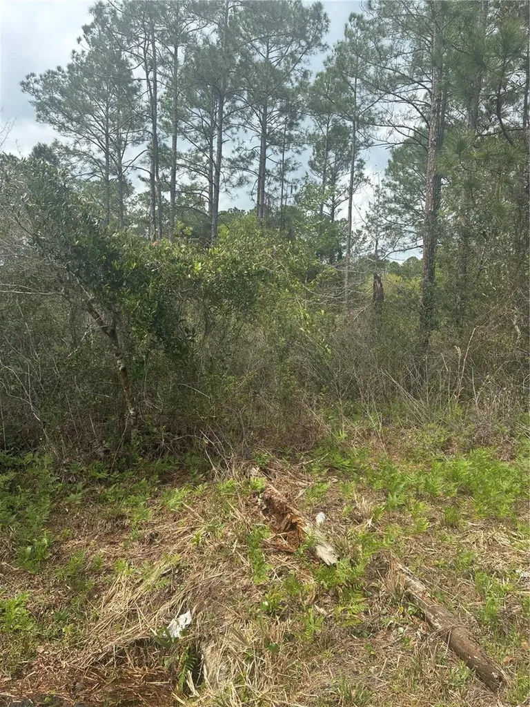 4205 Regina Street Hastings FL 32145