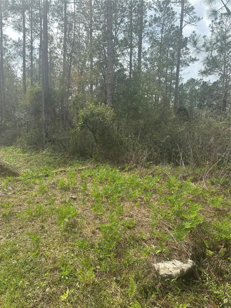 4205 Regina Street Hastings FL 32145