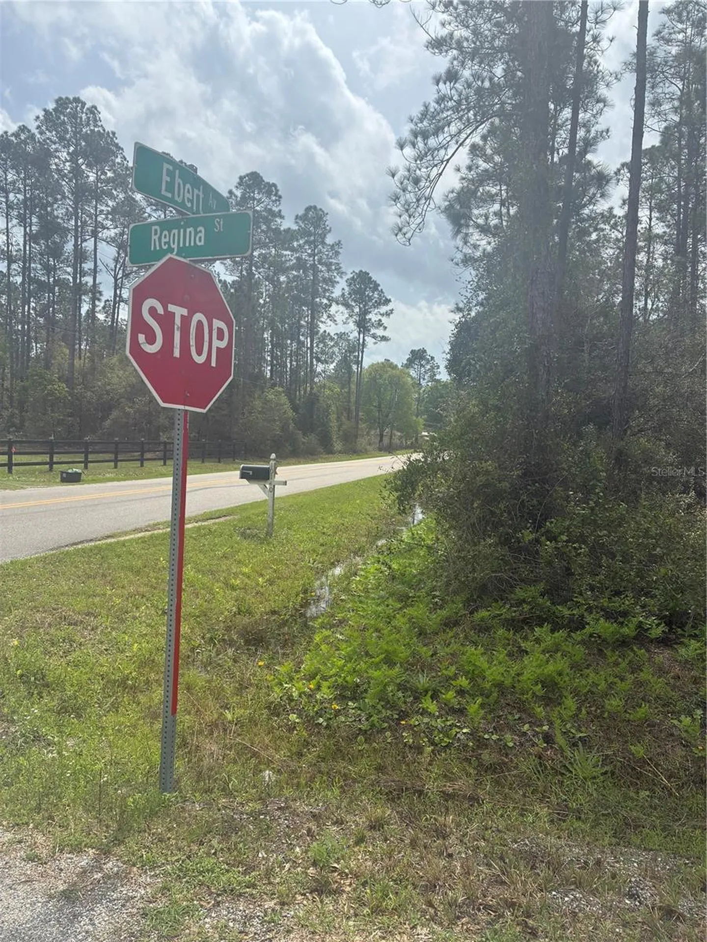 4205 Regina Street Hastings FL 32145