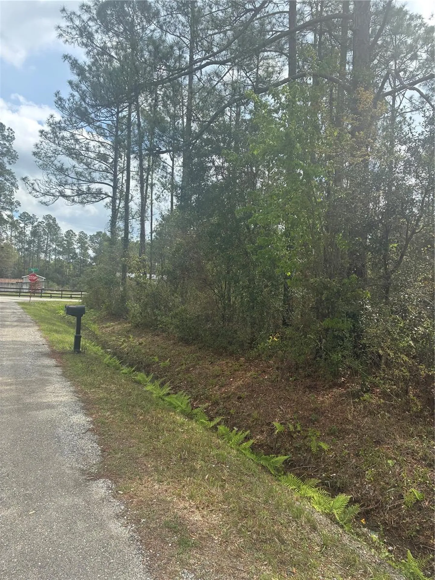 4205 Regina Street Hastings FL 32145