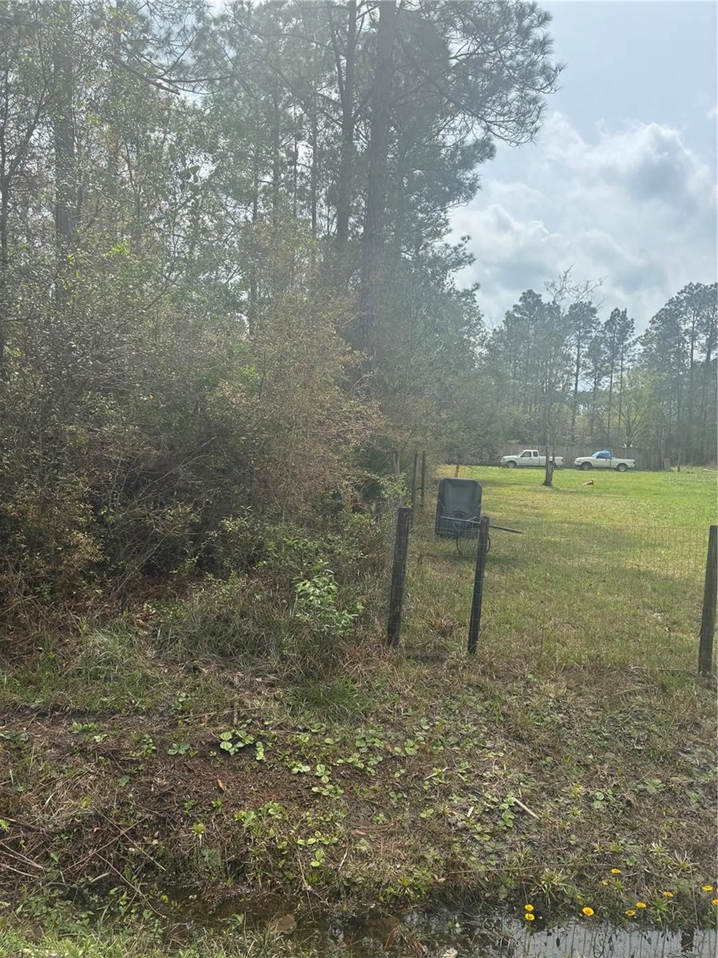 4205 Regina Street Hastings FL 32145