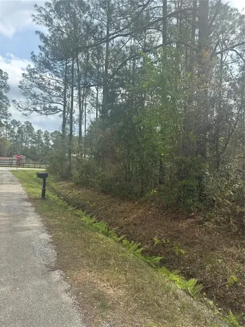4205 Regina Street Hastings FL 32145