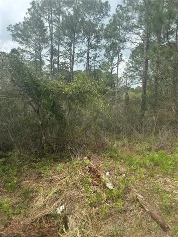 4205 Regina Street Hastings FL 32145
