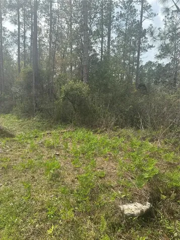 4205 Regina Street Hastings FL 32145