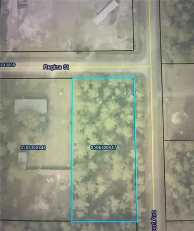 4205 Regina Street Hastings FL 32145