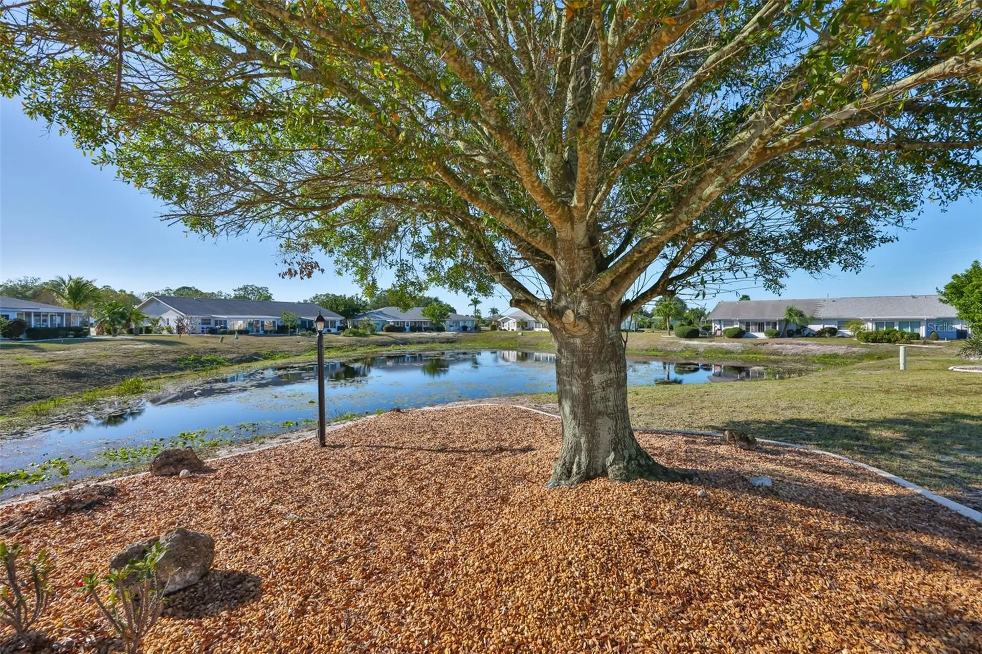 325 Green Manor Drive Sun City Center FL 33573