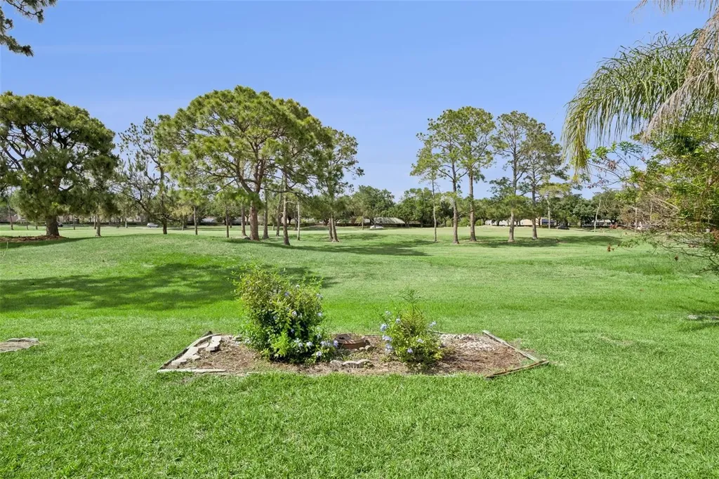 2313 Runyon Court Orlando FL 32837