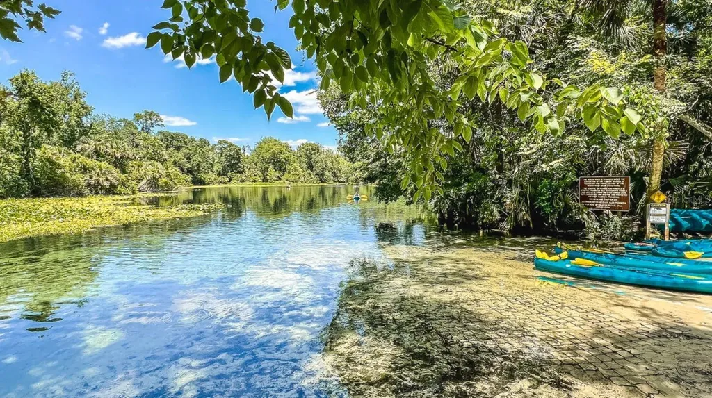 2596 Long Pine Avenue Apopka FL 32712