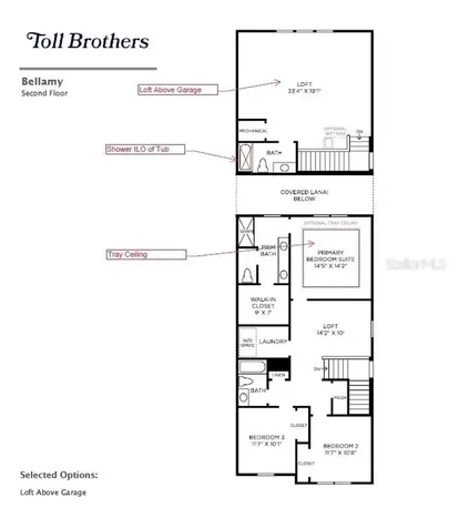 2596 Long Pine Avenue Apopka FL 32712