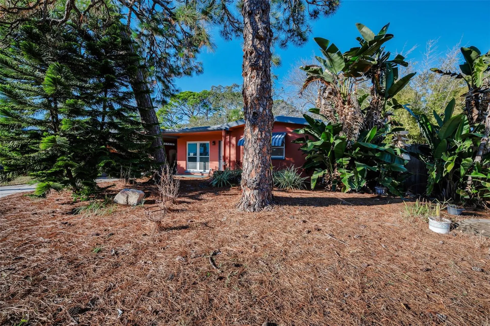 406 Orchid Lane Palm Harbor FL 34683