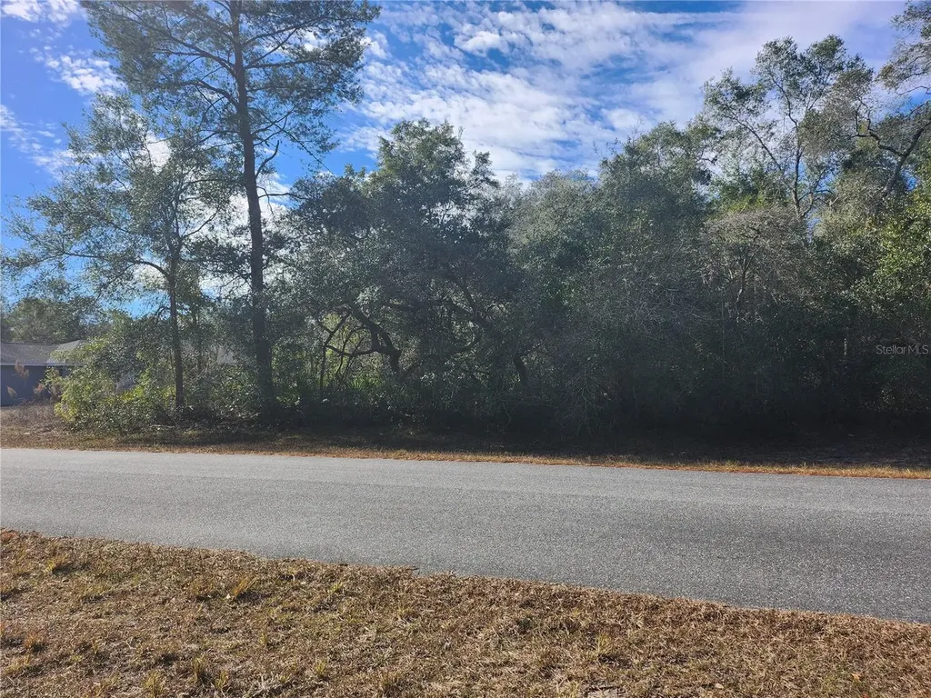 Tbd SW 29 Terrace Road Ocala FL 34473