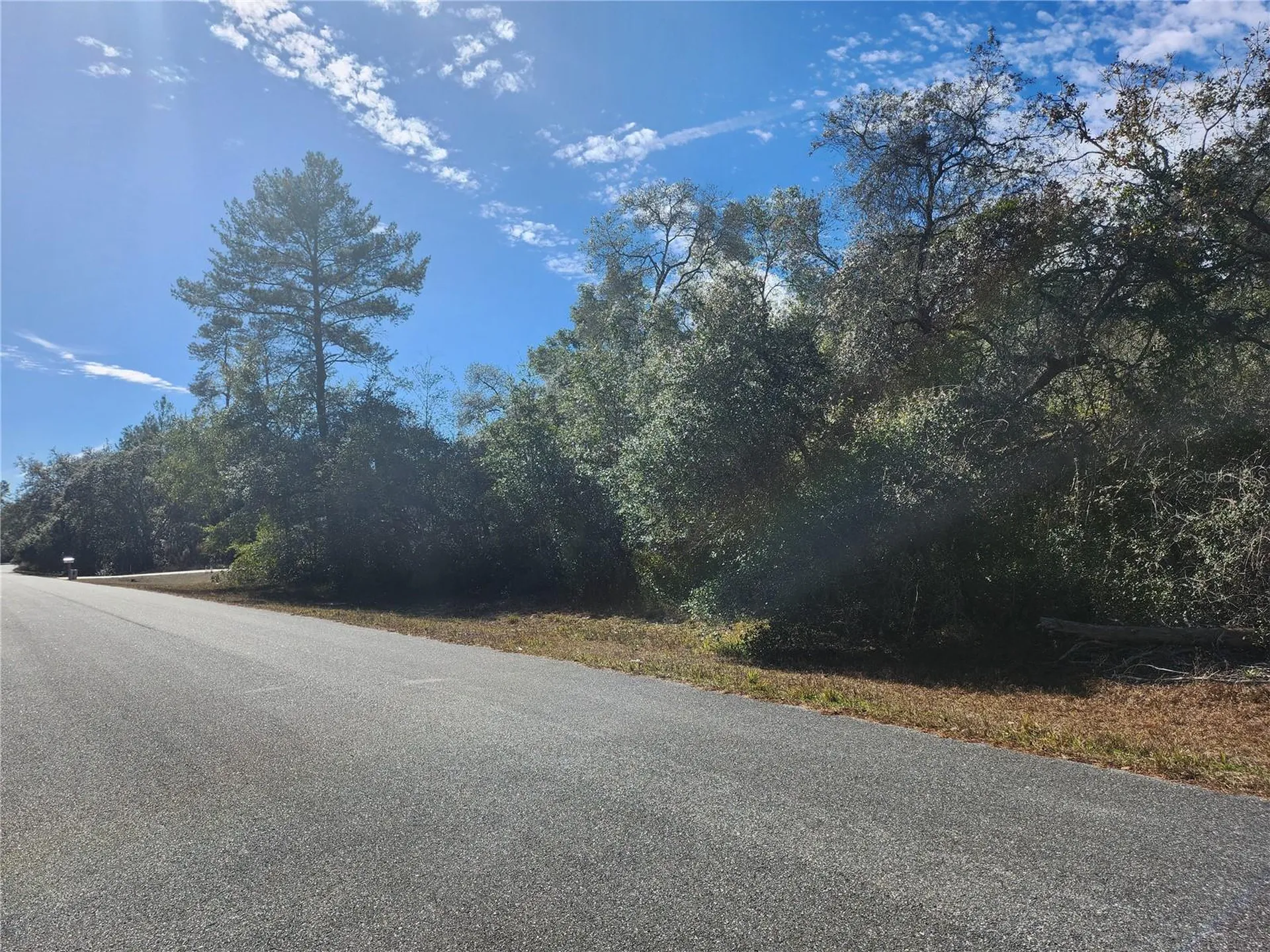 Tbd SW 29 Terrace Road Ocala FL 34473