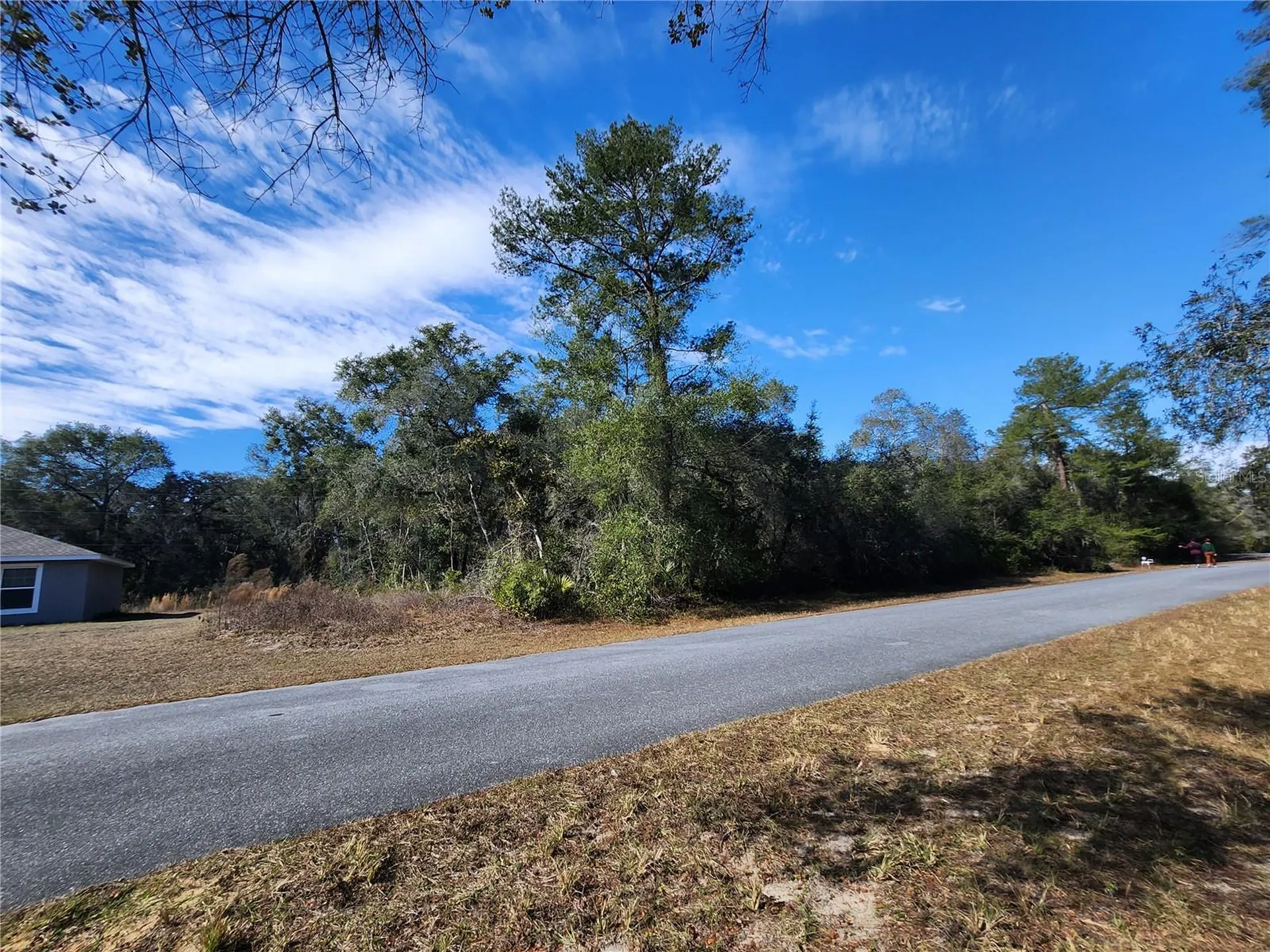 Tbd SW 29 Terrace Road Ocala FL 34473