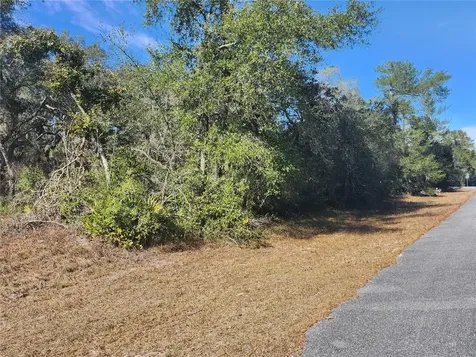 Tbd SW 29 Terrace Road Ocala FL 34473