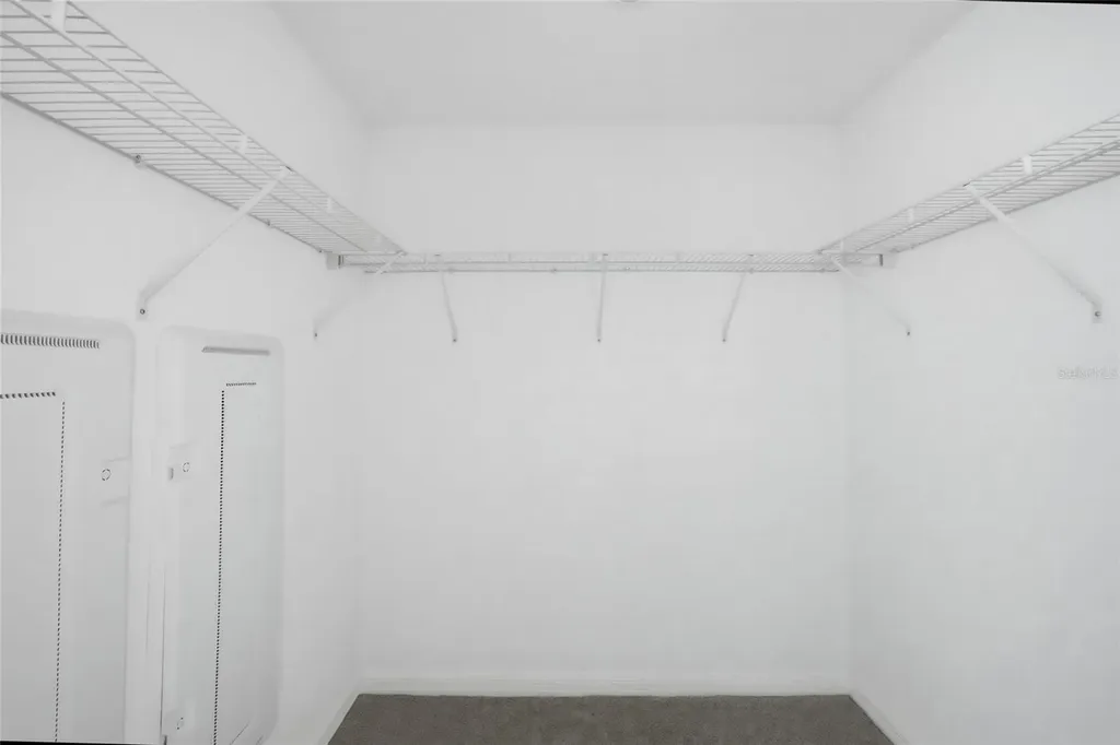 10149 Trumpet Honeysuckle Way San Antonio FL 33576