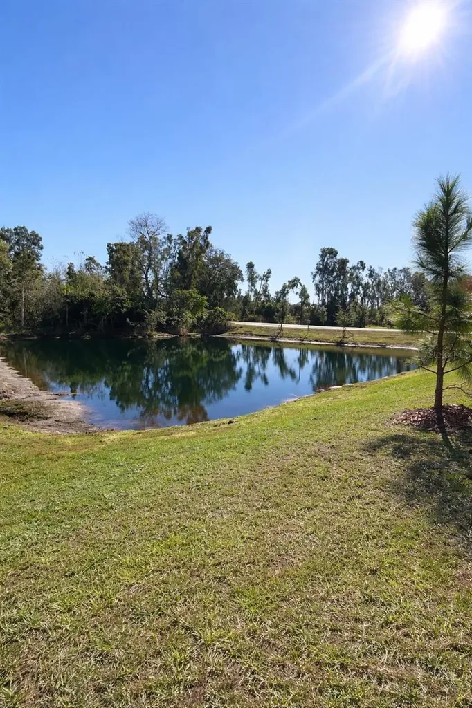6090 Shiner Street Land O Lakes FL 34638