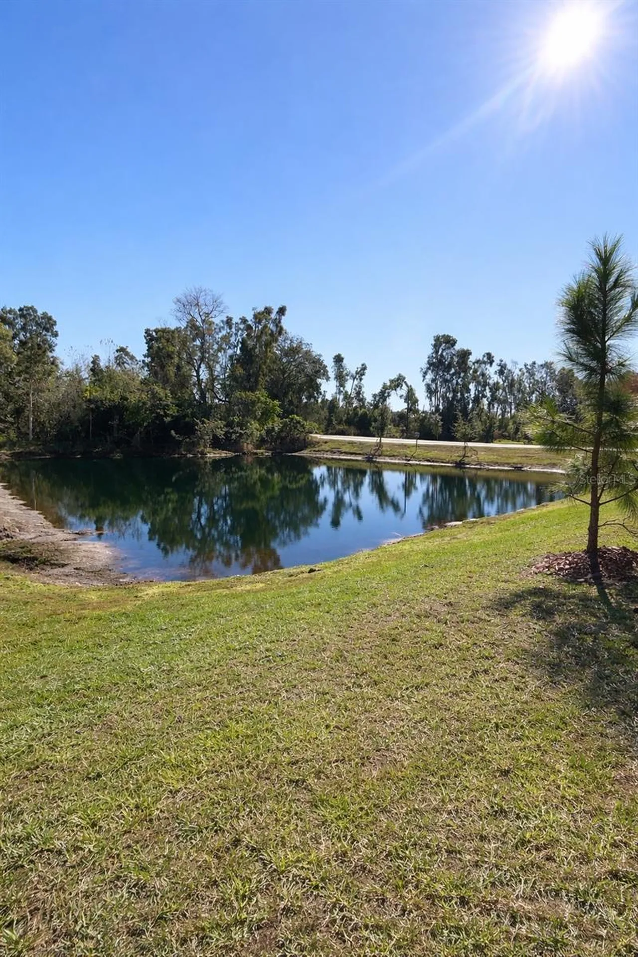 6090 Shiner Street Land O Lakes FL 34638