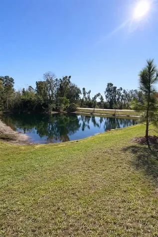 6090 Shiner Street Land O Lakes FL 34638