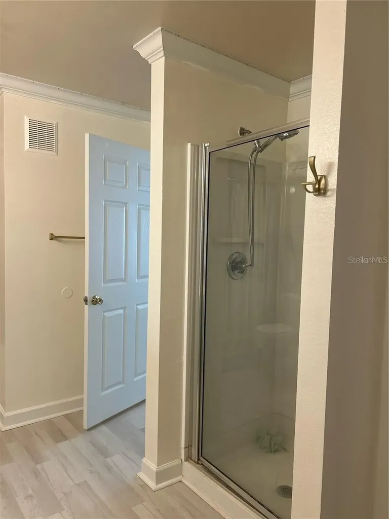18387 Bridle Club Tampa FL 33647