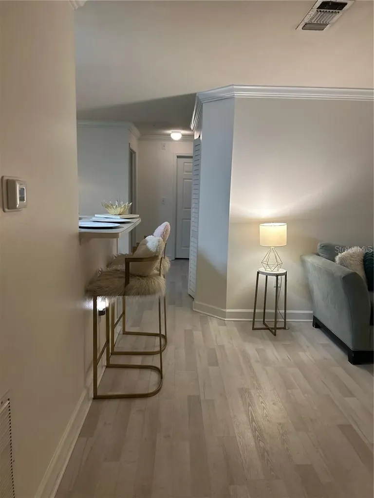 18387 Bridle Club Tampa FL 33647