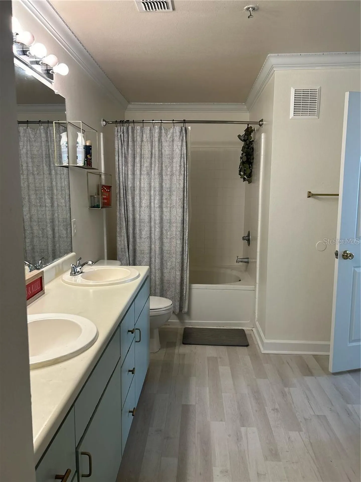 18387 Bridle Club Tampa FL 33647