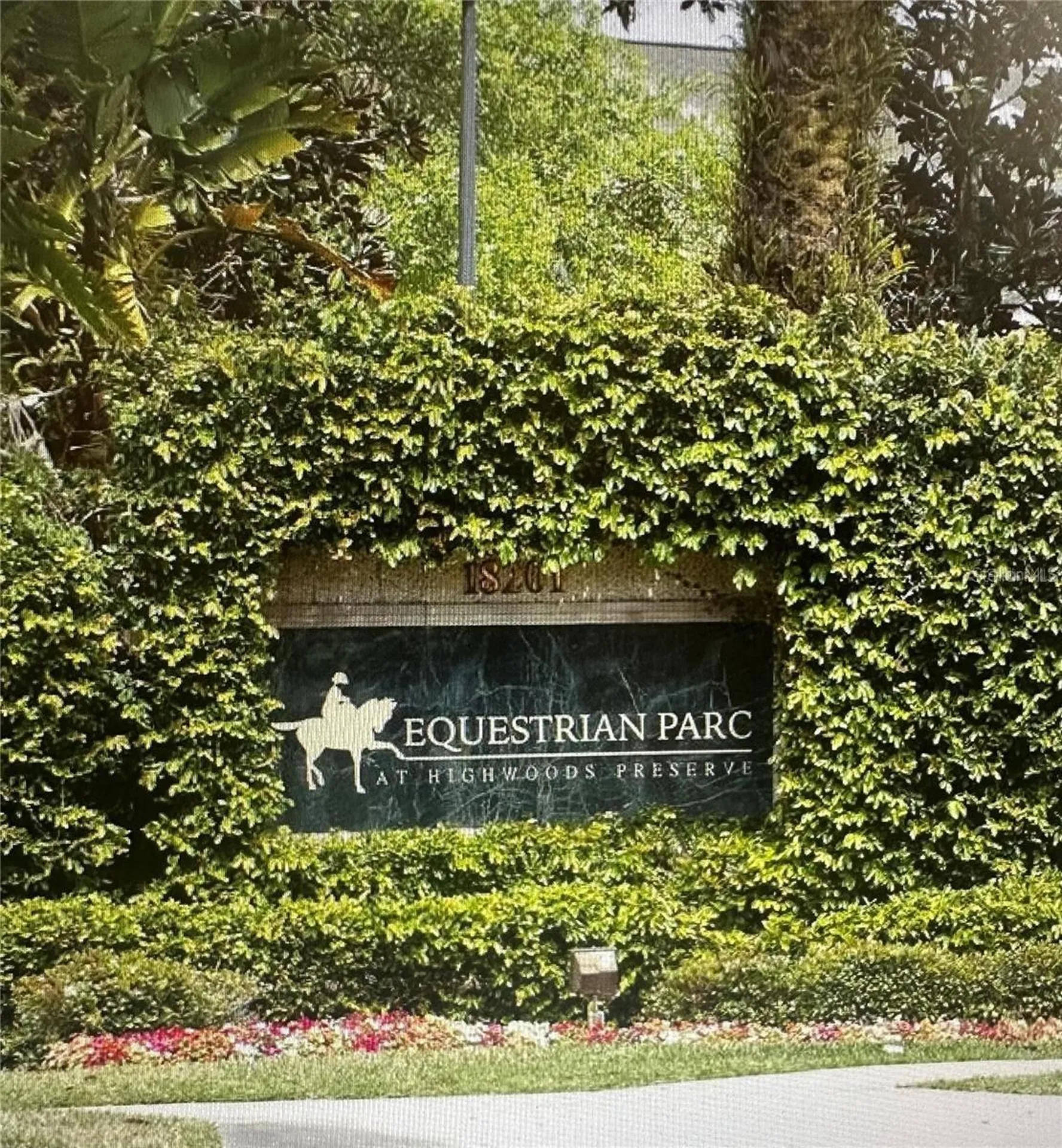 18387 Bridle Club Tampa FL 33647