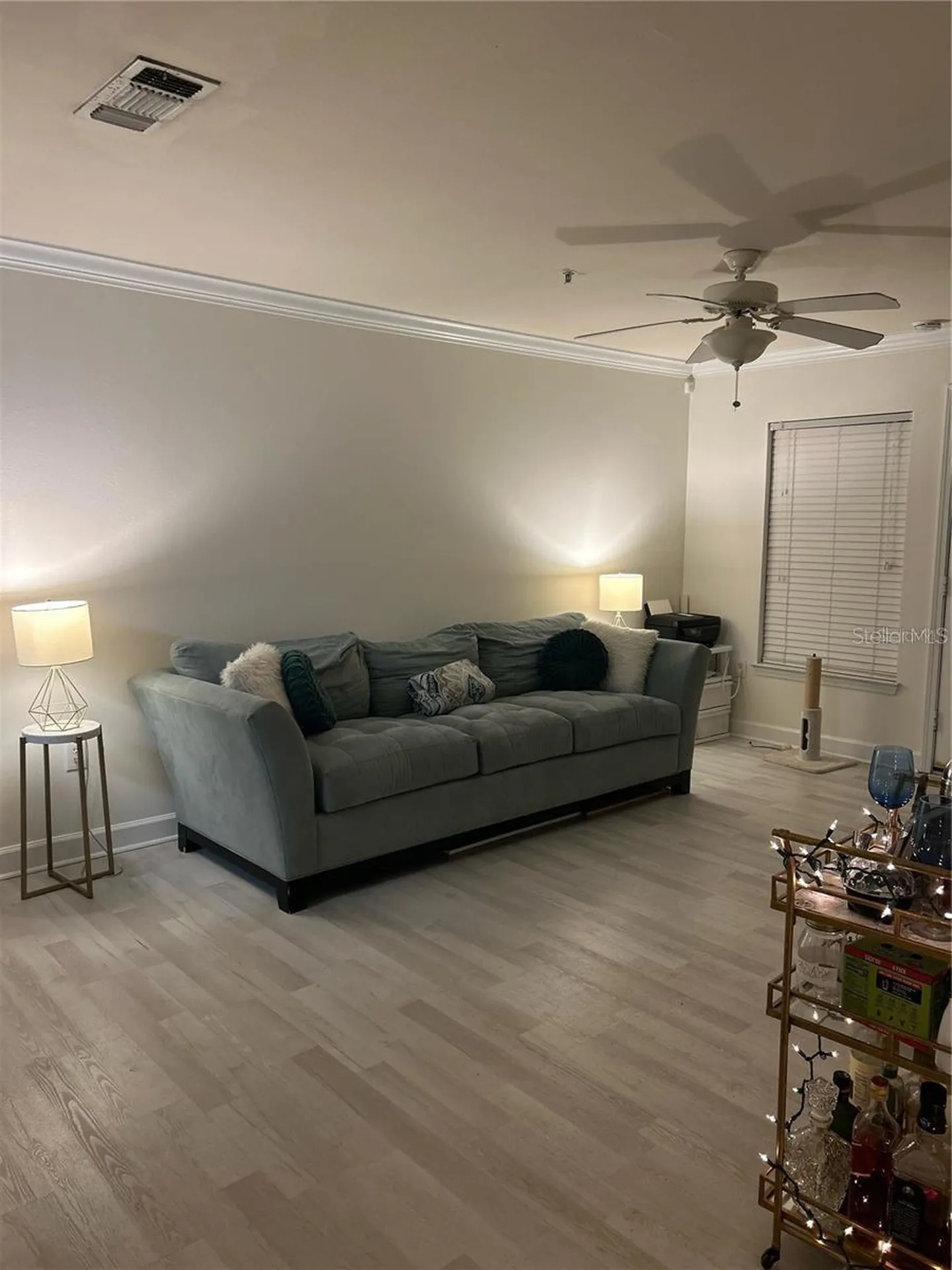 18387 Bridle Club Tampa FL 33647