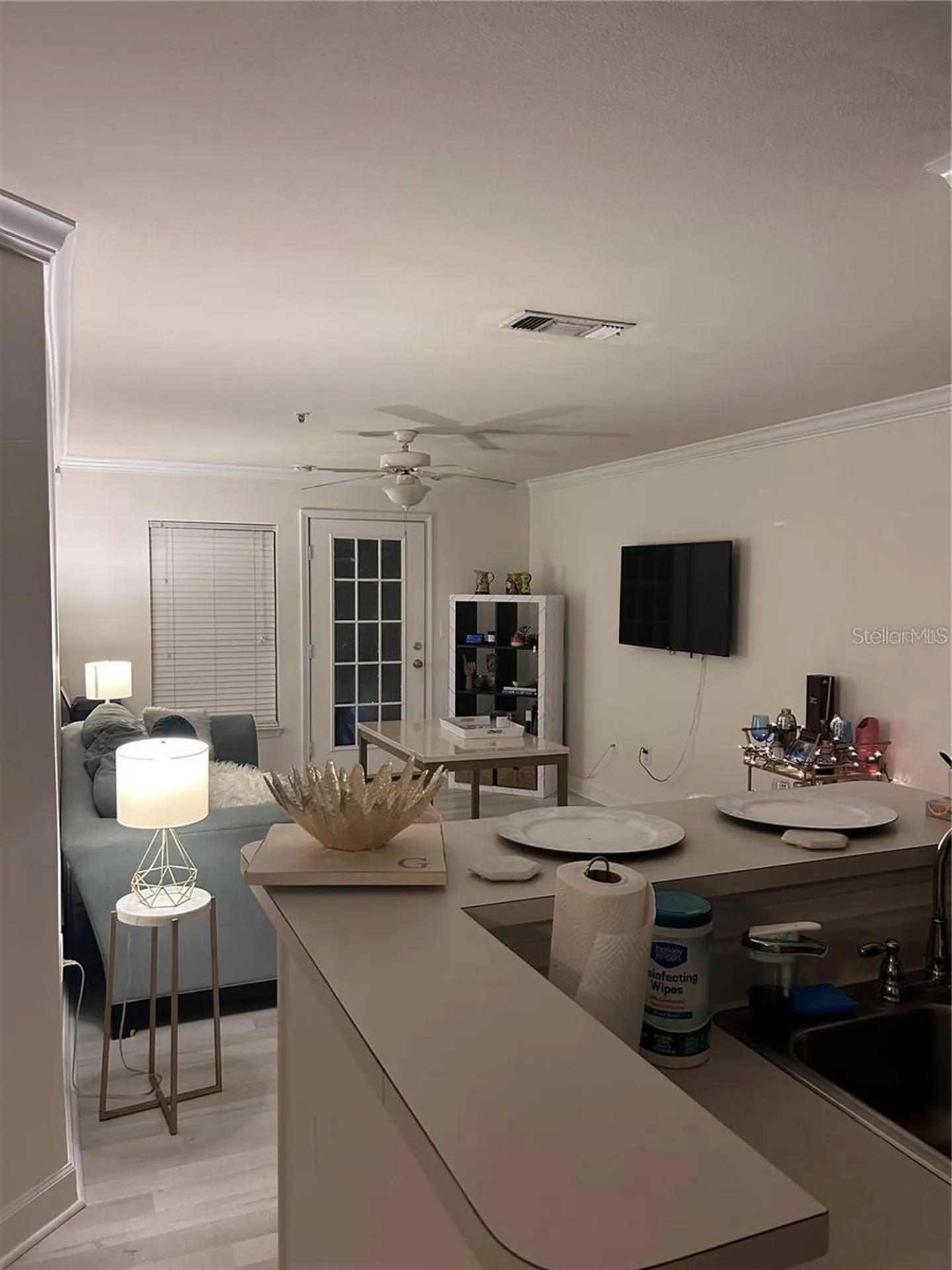 18387 Bridle Club Tampa FL 33647