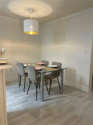 18387 Bridle Club Tampa FL 33647