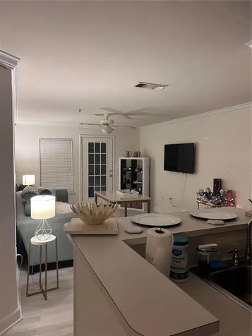 18387 Bridle Club Tampa FL 33647