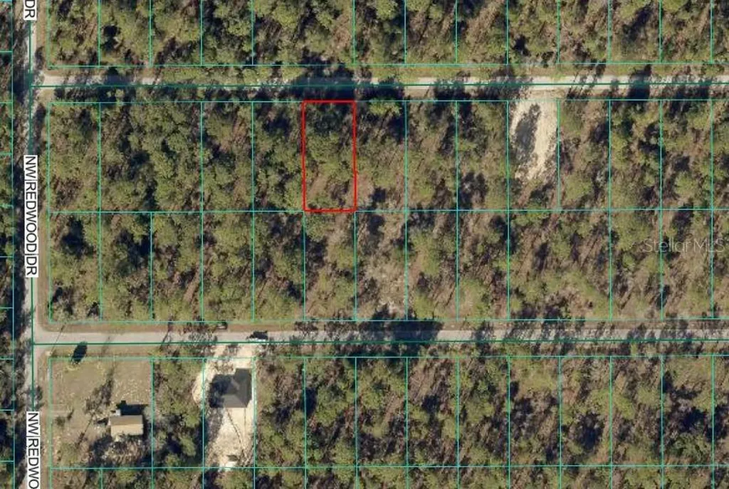 24394 NW Water Oak Avenue Dunnellon FL 34431