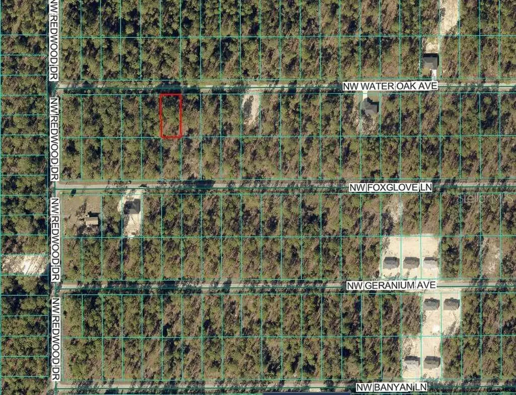 24394 NW Water Oak Avenue Dunnellon FL 34431