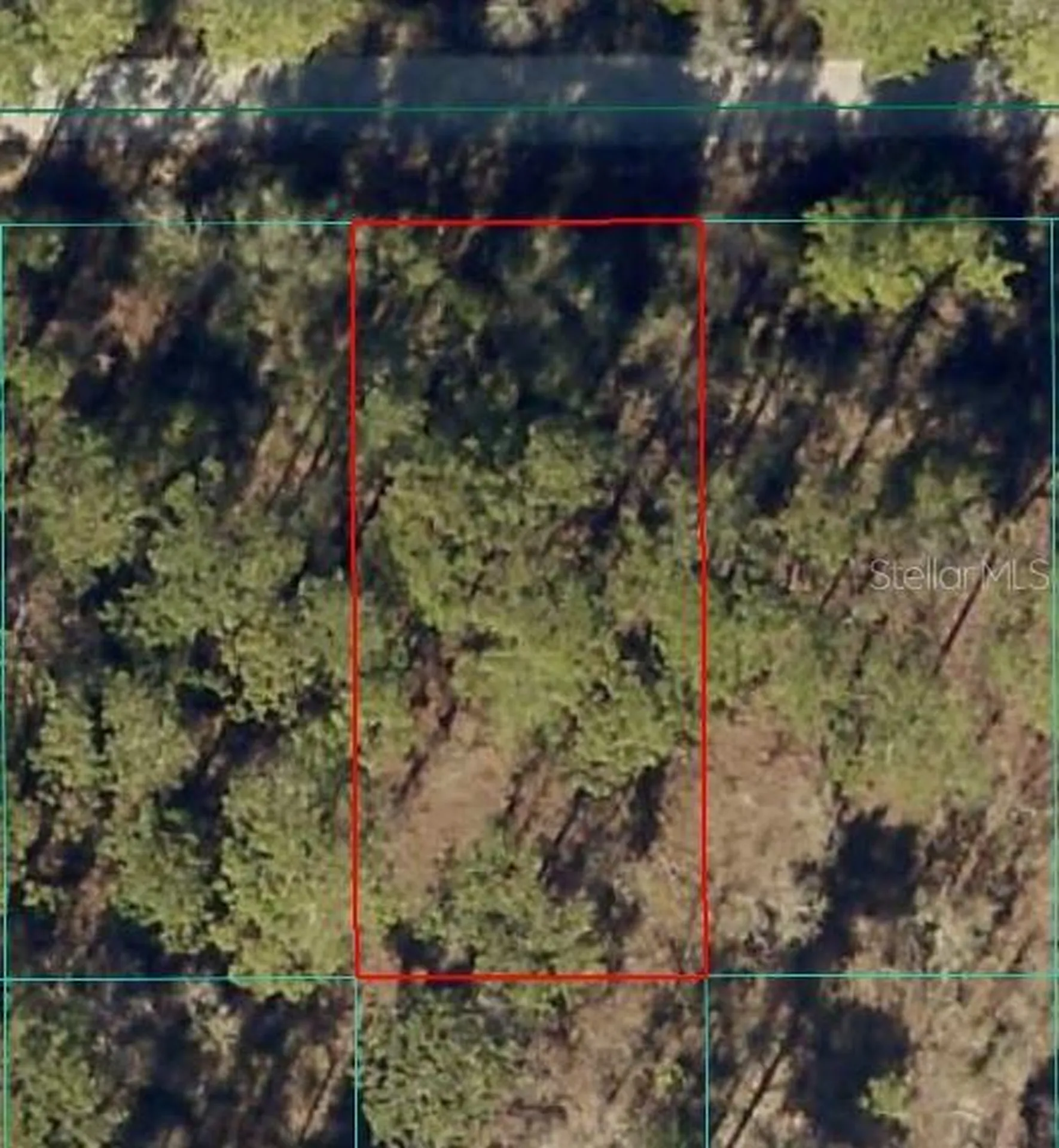 24394 NW Water Oak Avenue Dunnellon FL 34431