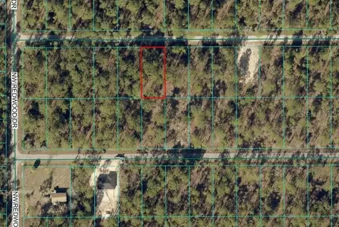 24394 NW Water Oak Avenue Dunnellon FL 34431