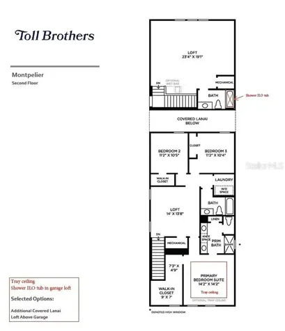 2600 Long Pine Avenue Apopka FL 32712
