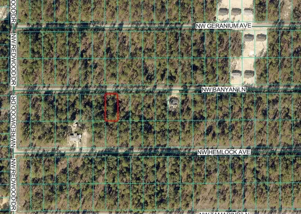 NW Banyan Lane Dunnellon FL 34431